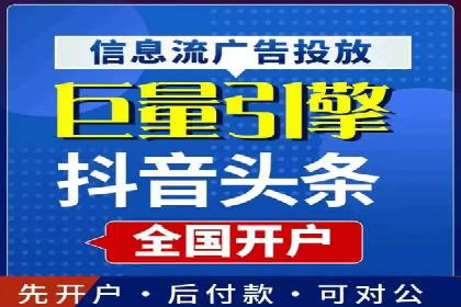 搜索引擎营销（SEM）的投放策略与效果评估——以某行业领先企业的案例分析