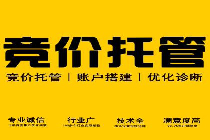 百度SEO推广实战案例：快速提升流量